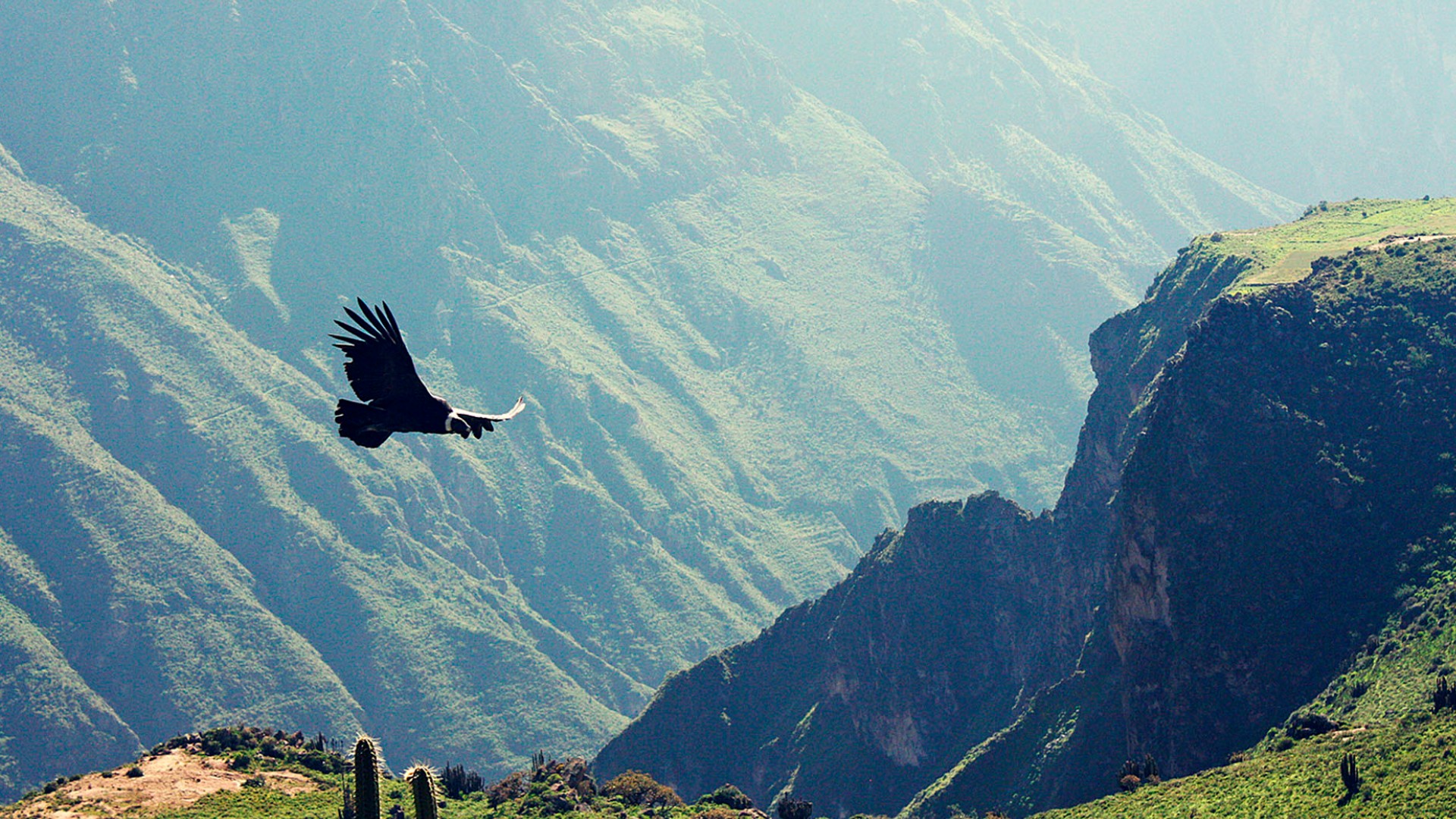 ica-peru