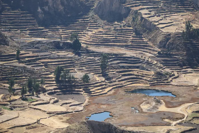 Dia 14: Cânion do Colca — Peru 360 (3)