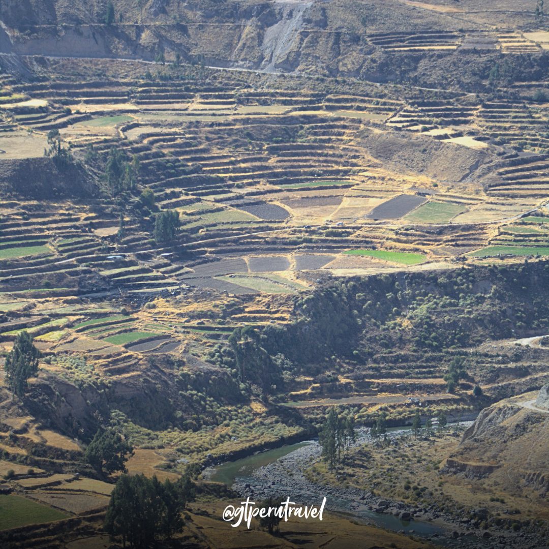 Peru 360