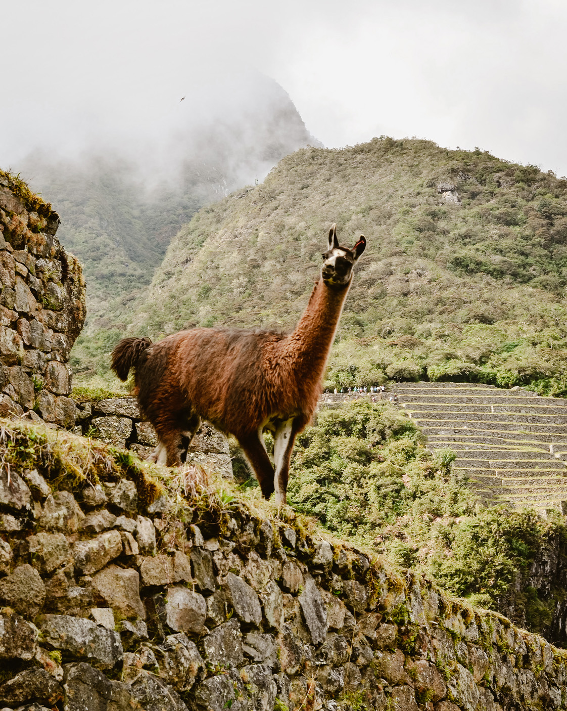 Valle Sagrado