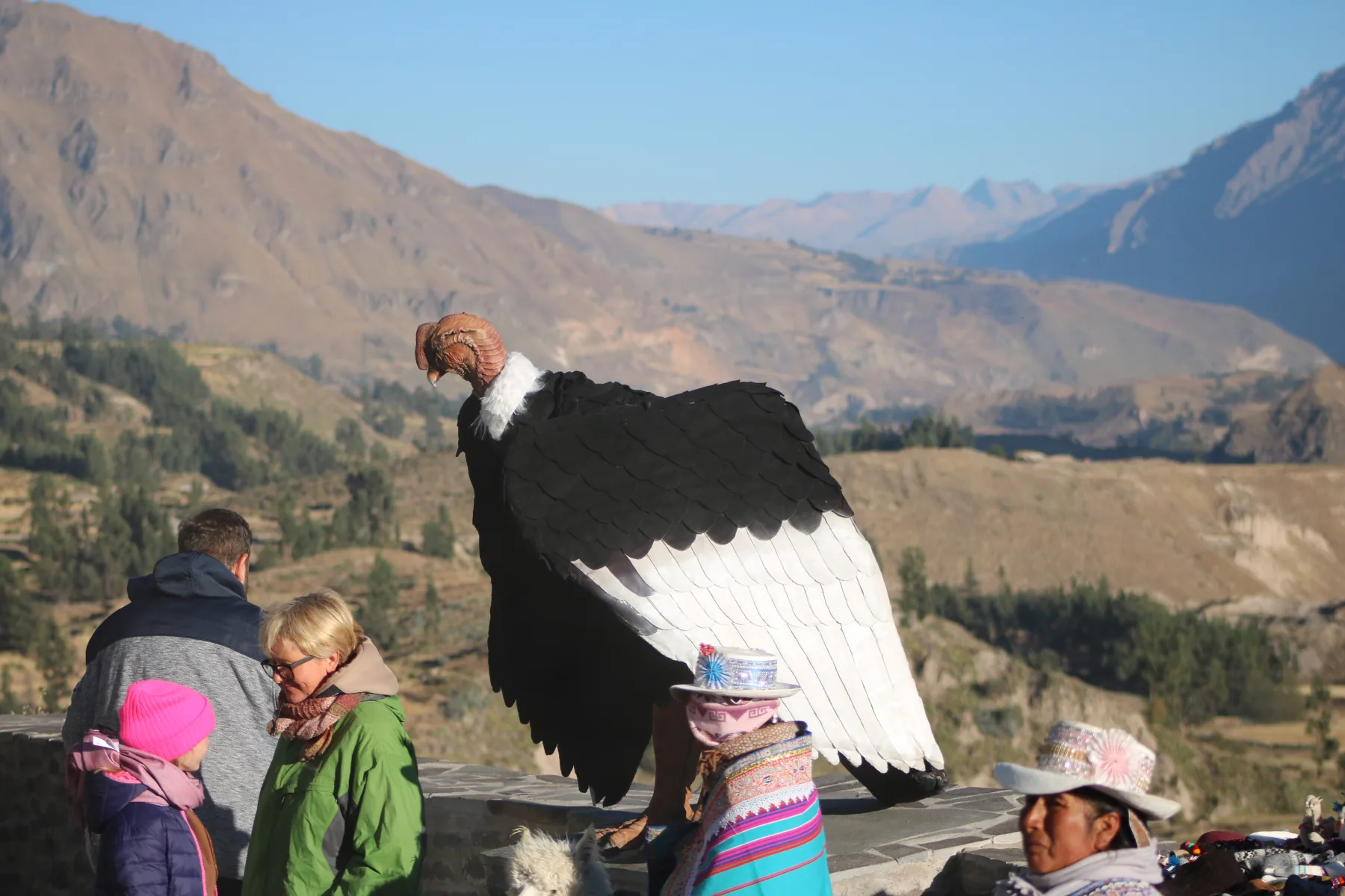 Cañón del Colca Trekking 2 Días / 1 Noche