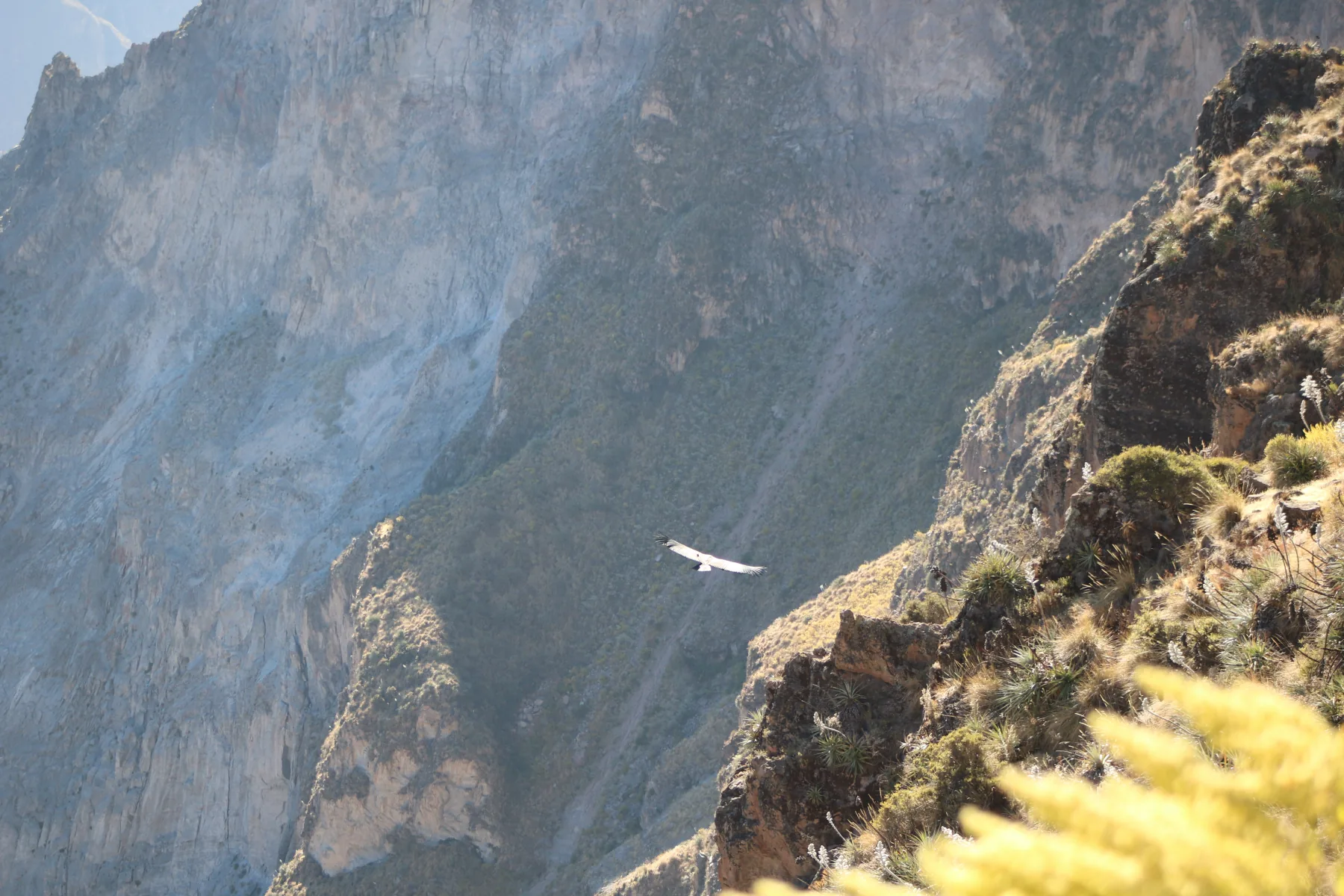 Cañón del Colca Trekking 2 Días / 1 Noche