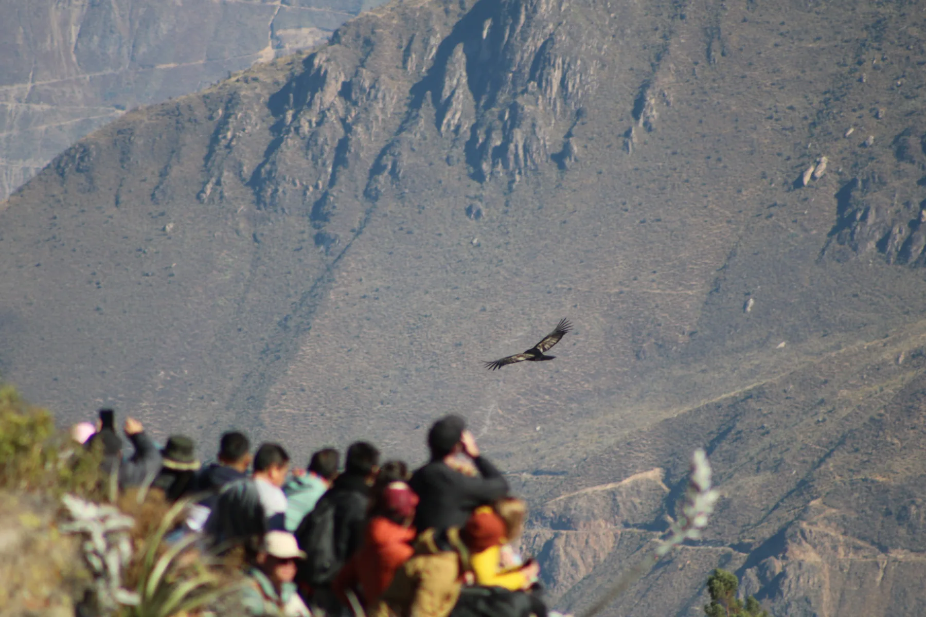 Cañón del Colca Trekking 2 Días / 1 Noche