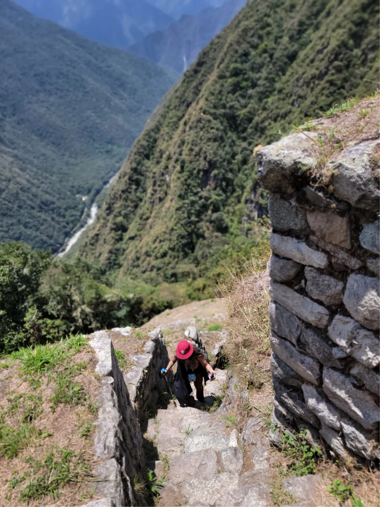 Tour Machu Picchu en Tren Panorámico Vistadome Observatory