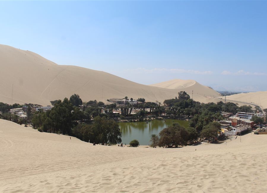 Tour Paracas, Ica e Huacachina Dia Inteiro saindo de Lima