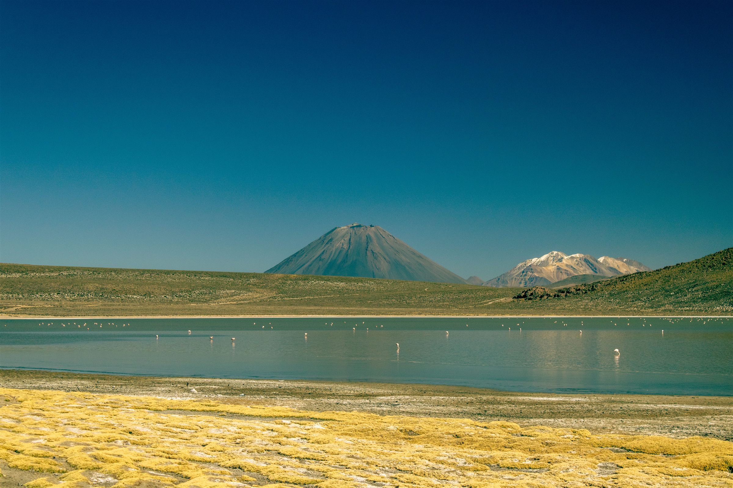 Tour Salinas e Aguada Blanca Full Day